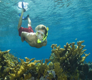 Snorkeling in Nassau Bahamas