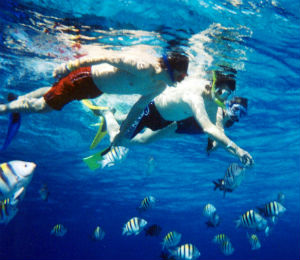 Top 5 Brands for Bahamas Snorkeling