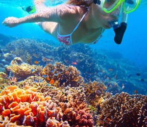 Snorkeling the Exumas Bahamas