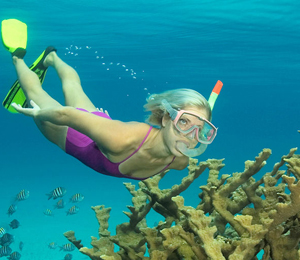 Top 3 Snorkeling Tours in Freeport Bahamas